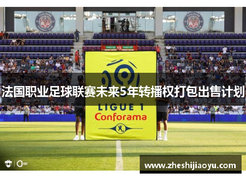法国职业足球联赛未来5年转播权打包出售计划